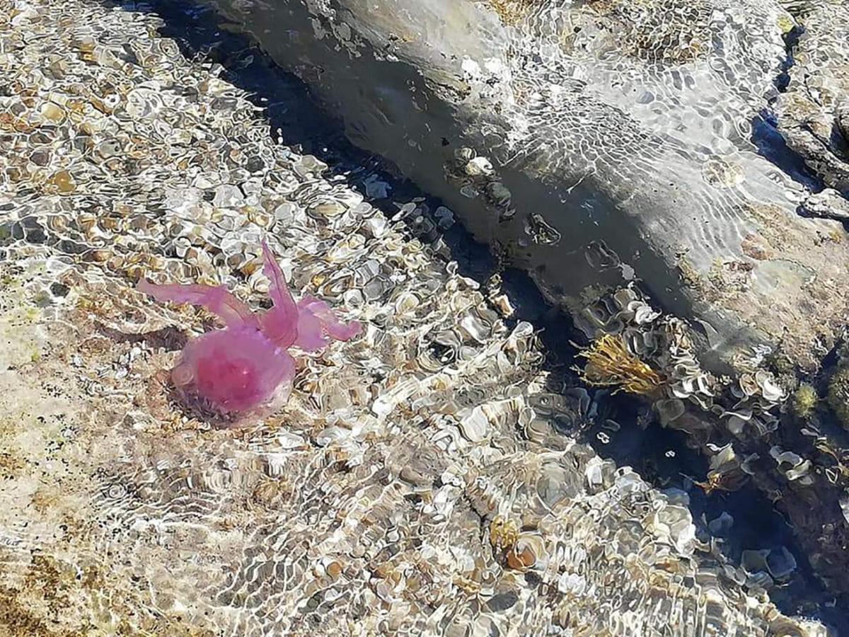 Appartamenti Giusi Con Giardino O Veranda Madonna della Catena Kültér fotó